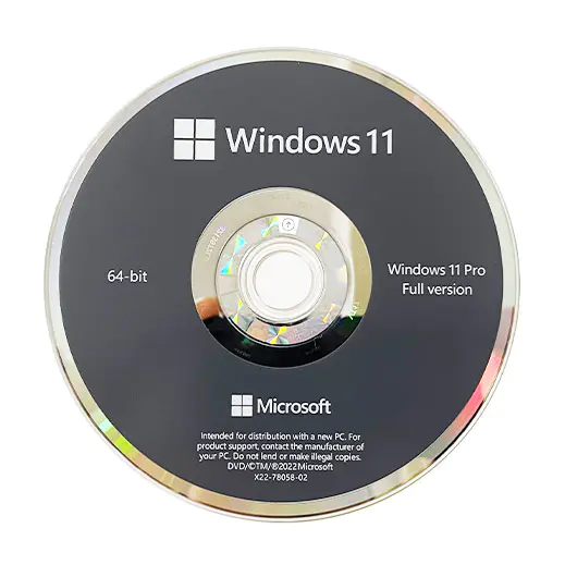 Windows 11 Professional OEM DVD
